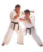 ����� ������ ��������