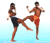 ����� ������ ��������