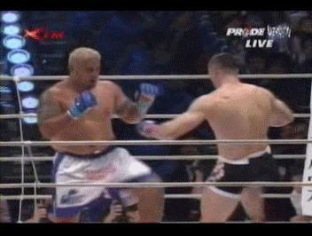 ����� ������ ��������